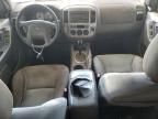 2006 Ford Escape XLT