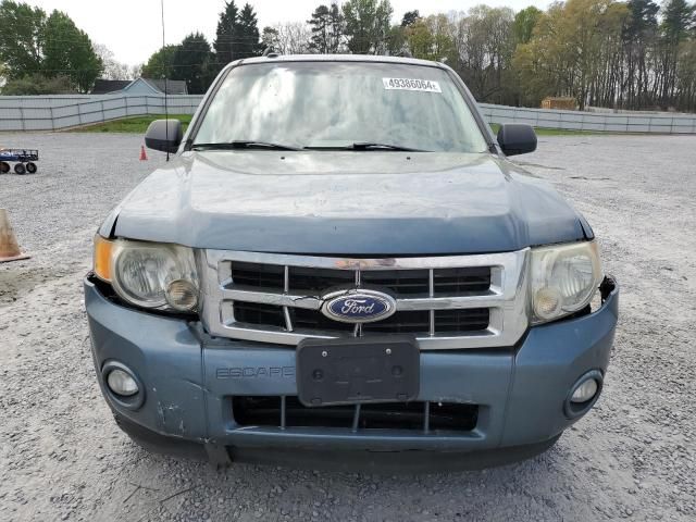 2010 Ford Escape XLT