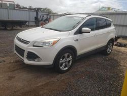 Salvage cars for sale from Copart Kapolei, HI: 2013 Ford Escape SE