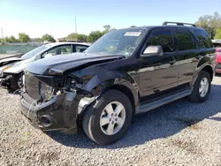 Salvage cars for sale at Riverview, FL auction: 2010 Ford Escape XLT