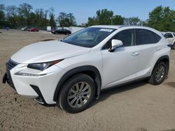 Salvage cars for sale at Baltimore, MD auction: 2021 Lexus NX 300H Base