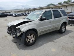 Salvage cars for sale from Copart Louisville, KY: 2003 Ford Escape Limited