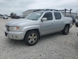 Salvage cars for sale at Haslet, TX auction: 2010 Honda Ridgeline RTL