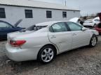 2005 Lexus ES 330