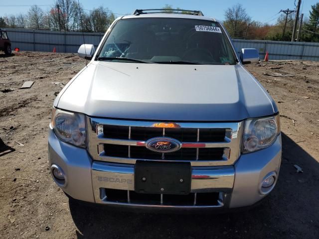 2011 Ford Escape Limited