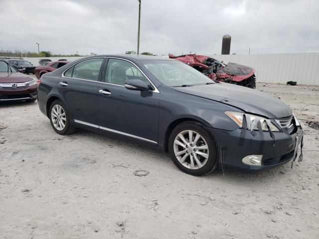 2010 Lexus ES 350