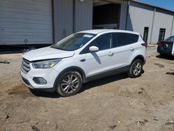 Ford salvage cars for sale: 2019 Ford Escape SE