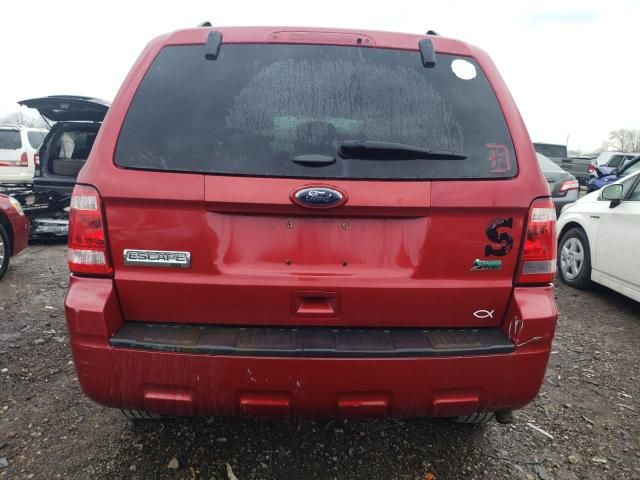 2012 Ford Escape XLT