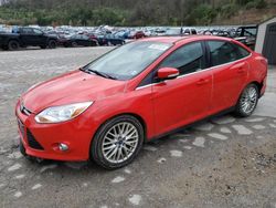 Ford Focus salvage cars for sale: 2012 Ford Focus SEL