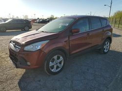 Salvage cars for sale at Indianapolis, IN auction: 2014 Ford Escape SE