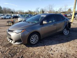 Salvage cars for sale from Copart Chalfont, PA: 2019 Toyota Corolla L