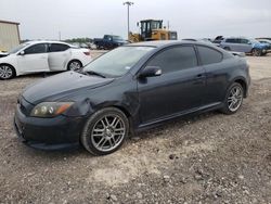 Salvage cars for sale at Temple, TX auction: 2010 Scion TC