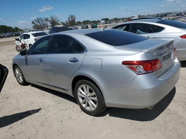 2010 Lexus ES 350