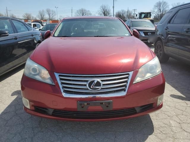 2010 Lexus ES 350