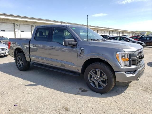 2023 Ford F150 Supercrew