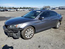 Honda Accord salvage cars for sale: 2014 Honda Accord EXL