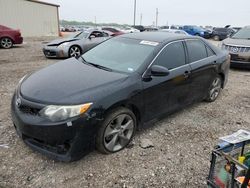 Salvage cars for sale at Temple, TX auction: 2013 Toyota Camry SE