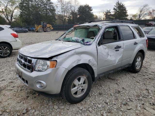 2012 Ford Escape XLT