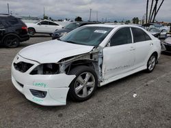 Toyota Camry SE salvage cars for sale: 2010 Toyota Camry SE