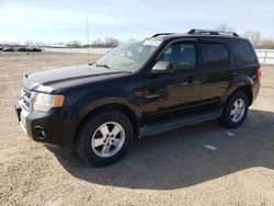 Salvage cars for sale from Copart London, ON: 2011 Ford Escape Limited