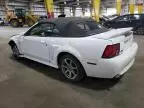 2000 Ford Mustang GT