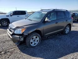 Salvage cars for sale from Copart Ottawa, ON: 2009 Toyota Rav4