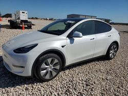 Salvage cars for sale at Temple, TX auction: 2021 Tesla Model Y