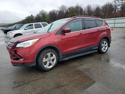 Ford Escape SE salvage cars for sale: 2014 Ford Escape SE