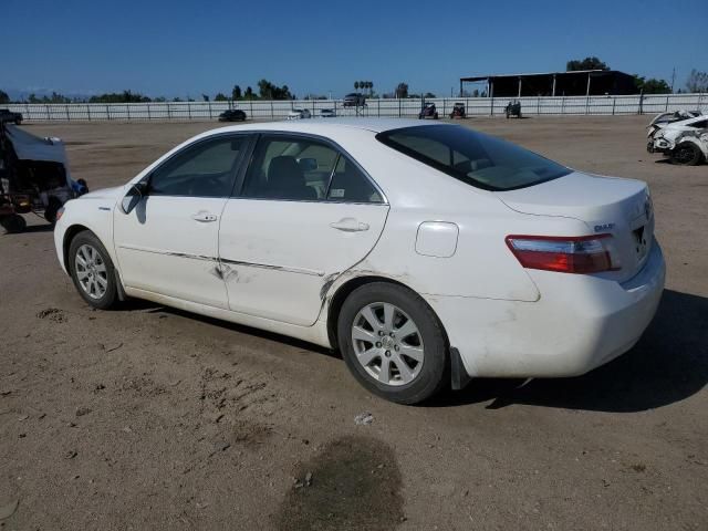 2009 Toyota Camry Hybrid