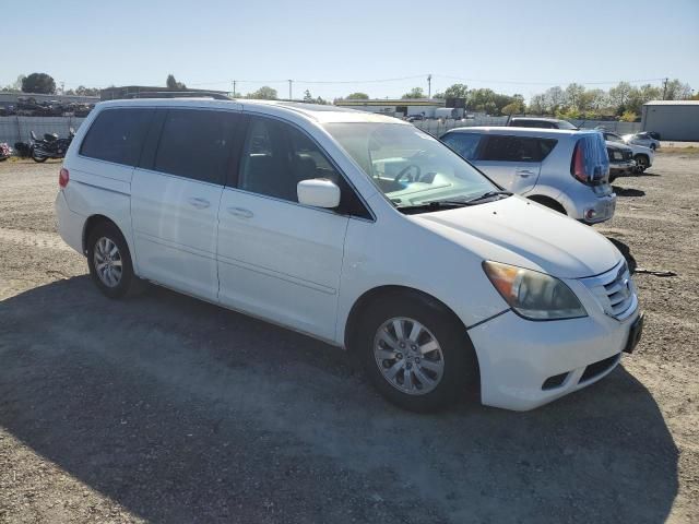 2010 Honda Odyssey EXL