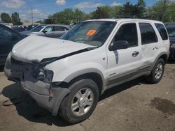Salvage cars for sale from Copart Moraine, OH: 2002 Ford Escape XLT