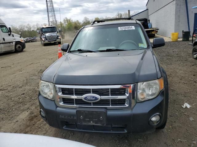 2008 Ford Escape XLT