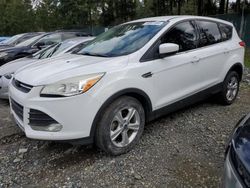 Salvage cars for sale at Graham, WA auction: 2013 Ford Escape SE