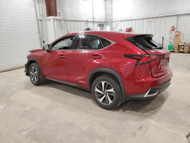 2021 Lexus NX 300H Base