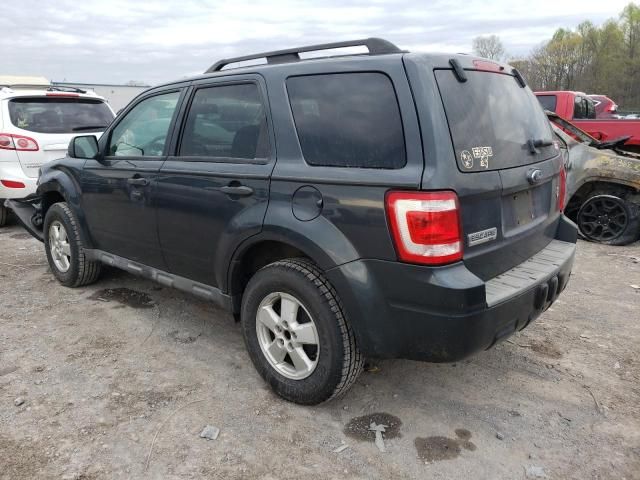 2009 Ford Escape XLT