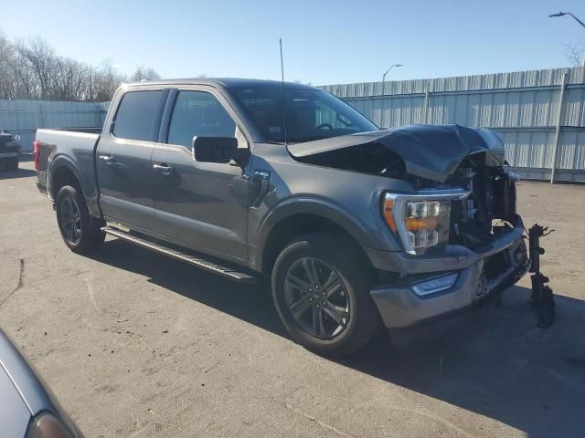 2023 Ford F150 Supercrew