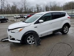 Salvage cars for sale from Copart Ellwood City, PA: 2013 Ford Escape SE