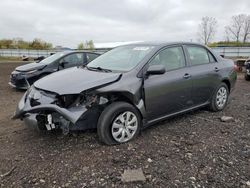 Salvage cars for sale from Copart Columbia Station, OH: 2009 Toyota Corolla Base