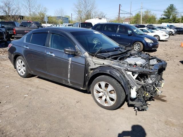 2010 Honda Accord EXL