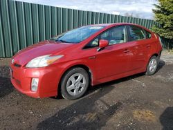 Toyota salvage cars for sale: 2010 Toyota Prius