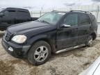 2003 Mercedes-Benz ML 350