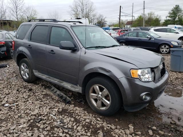 2010 Ford Escape XLT