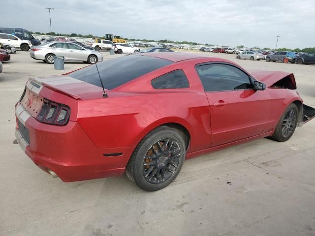 2013 Ford Mustang