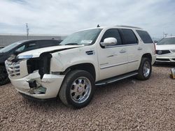 Salvage cars for sale at Phoenix, AZ auction: 2013 Cadillac Escalade Luxury