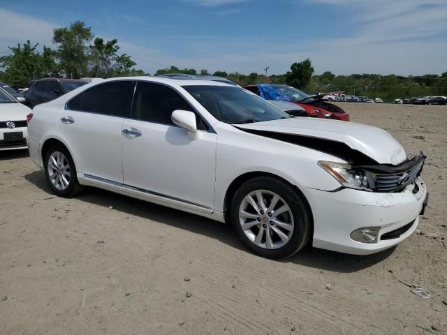 2010 Lexus ES 350