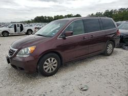 Salvage cars for sale at Houston, TX auction: 2010 Honda Odyssey EXL