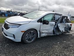 Salvage cars for sale from Copart Eugene, OR: 2024 Honda Odyssey Elite