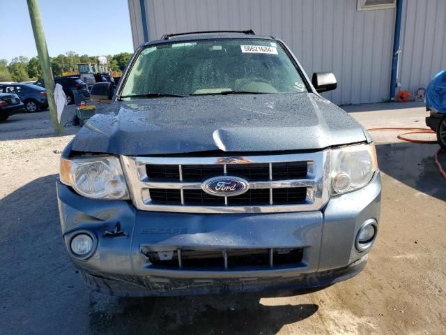 2012 Ford Escape XLT