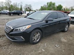 Salvage cars for sale at Baltimore, MD auction: 2016 Hyundai Sonata SE