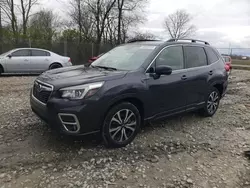 Salvage cars for sale at Cicero, IN auction: 2019 Subaru Forester Limited